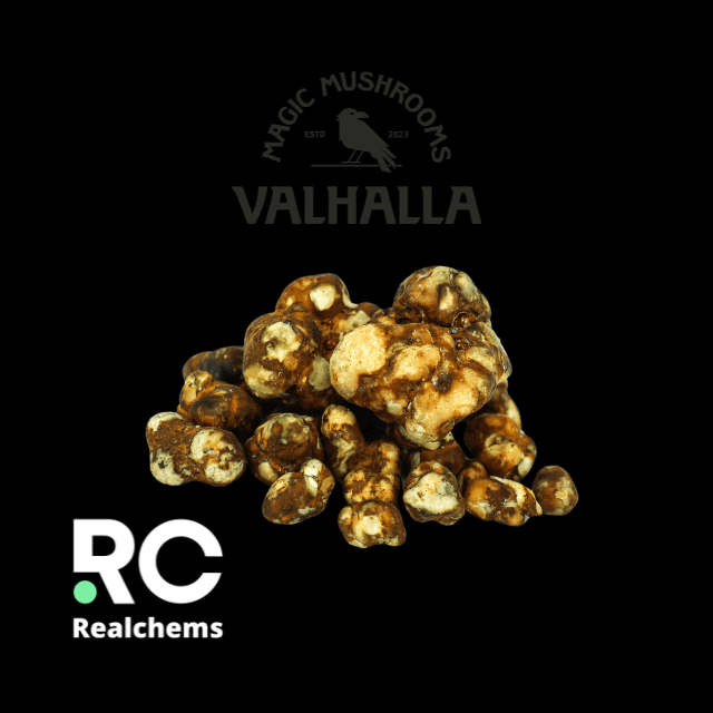 Psilocybin Atlantis mushroom for sale