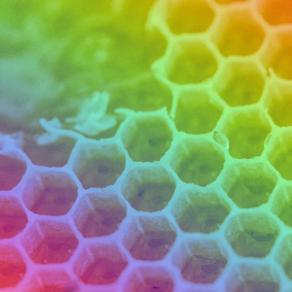 mad honey, hallucinogenic honey