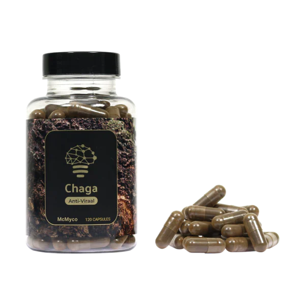 shop chaga extract capsules online