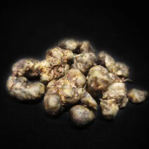 Magic Truffles Bulk