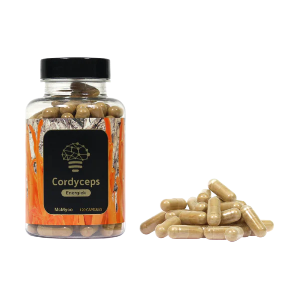 shop cordyceps extract capsules online