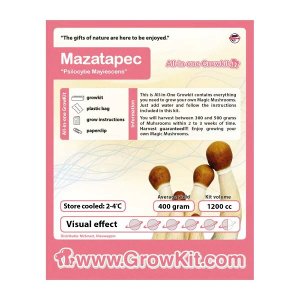mazatapec Mushroom Grow Kit for sale
