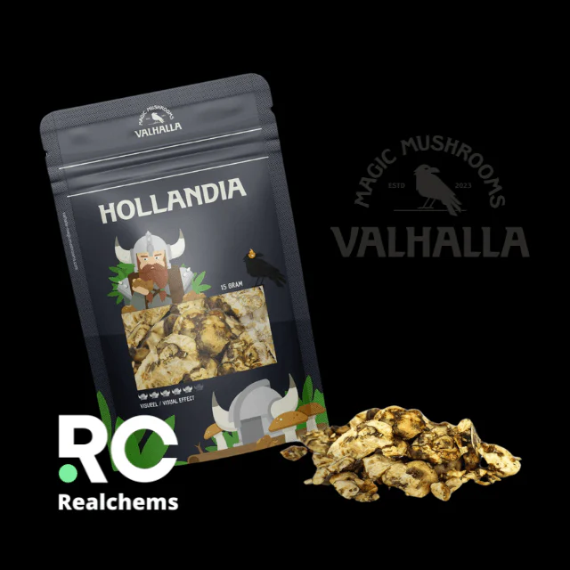 buy Magic Truffles Hollandia online