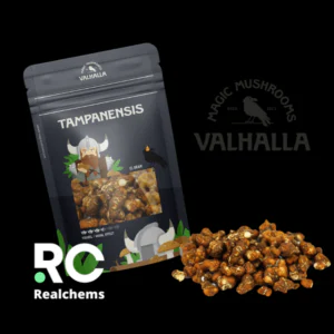 Magic Truffles Tampanensis for sale