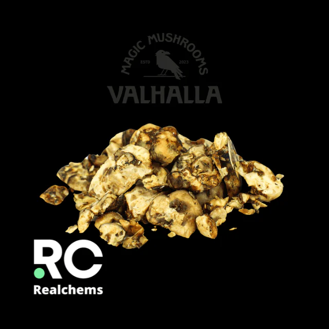 shop Psilocybin Hollandia truffles